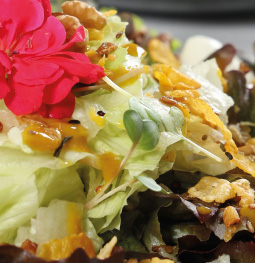 Salada Status